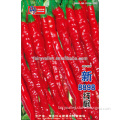 Red Hot Pepper Seeds For Planting Good Price and Excellent Quality-New 8898